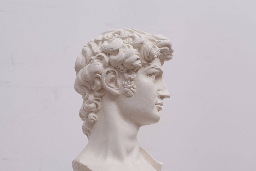 David head in white plaster