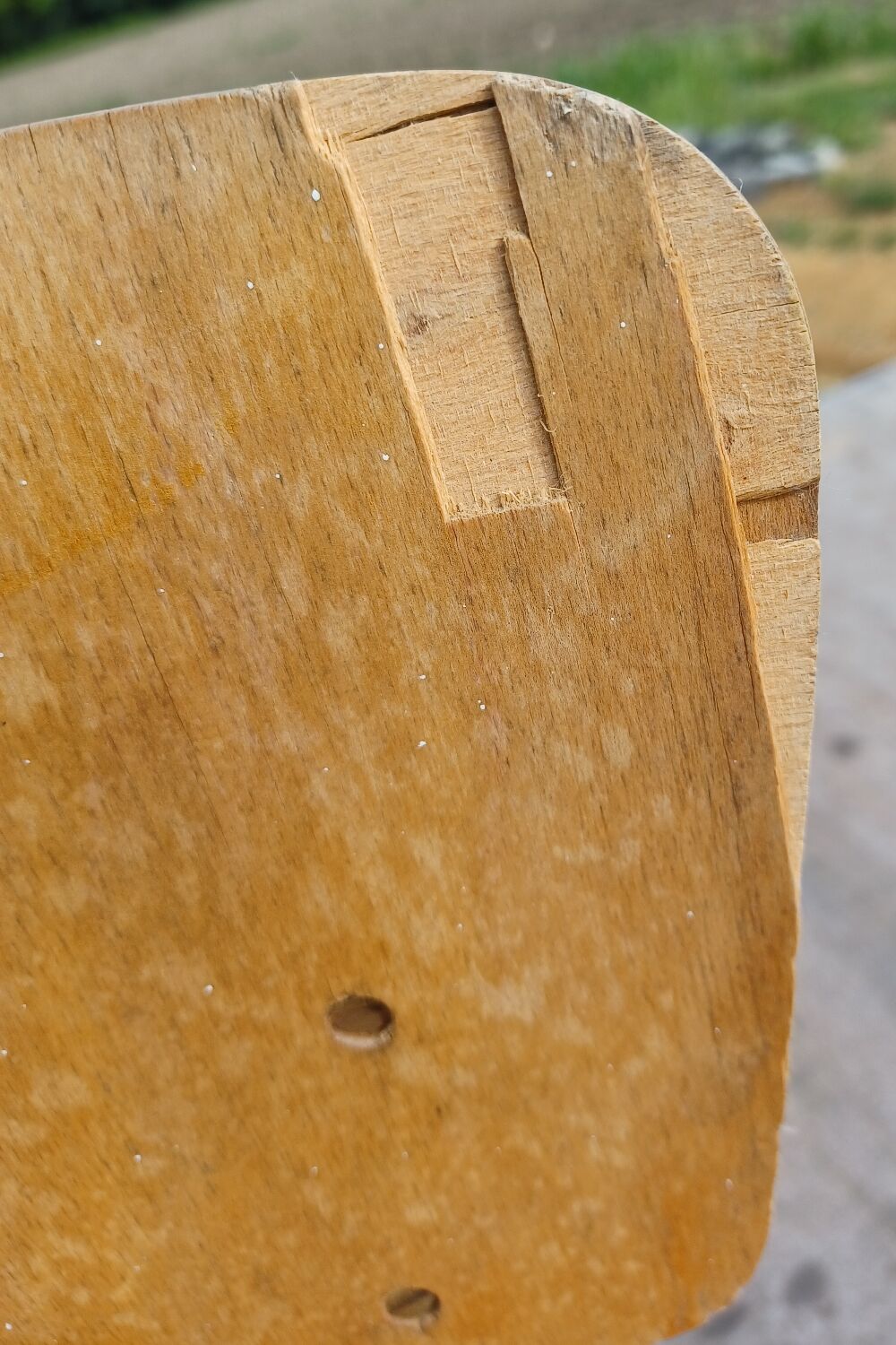 Thonet chairs 1950/1960