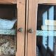 Small antique wall display cabinet in walnut.