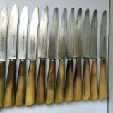 Set of 12 large knives and 11 horn and steel dessert knives