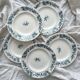 5 old flat ironstone plates “Cyrano” Longwy
