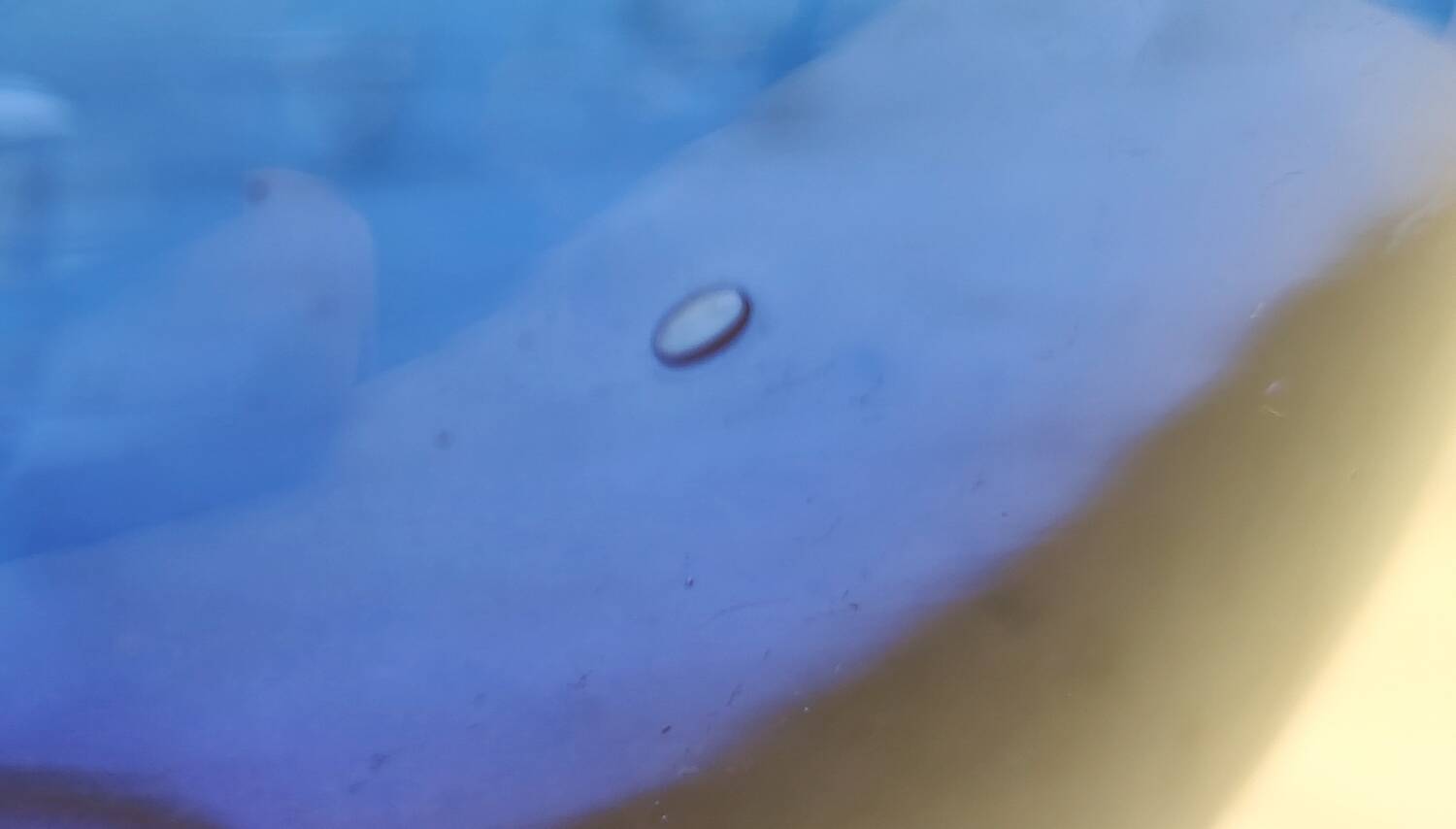 Vintage cobalt blue glass round vase