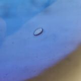 Vintage cobalt blue glass round vase