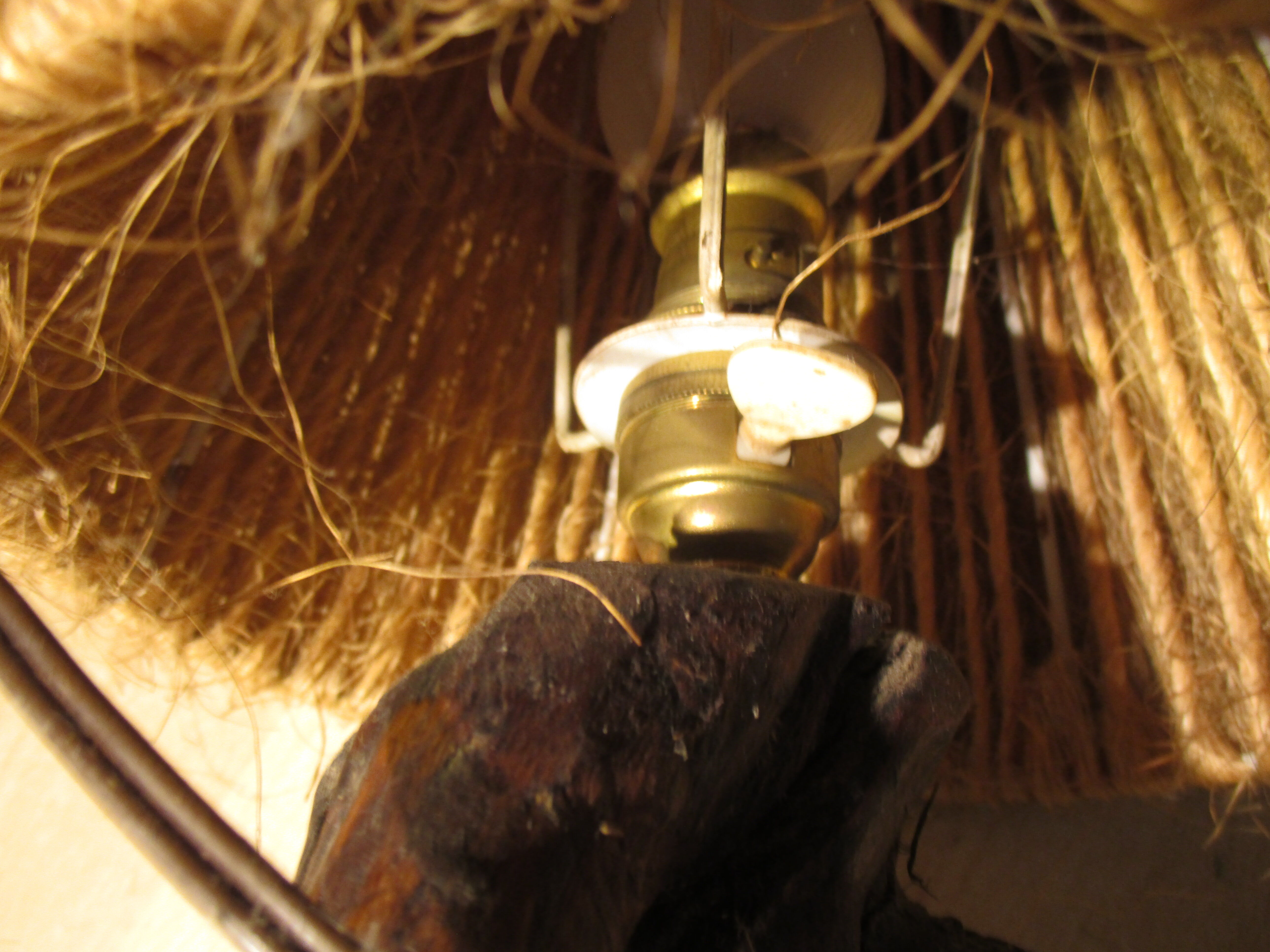 Lampe Sarment pied vigne abat day vintage corde