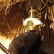 Lampe Sarment pied vigne abat day vintage corde