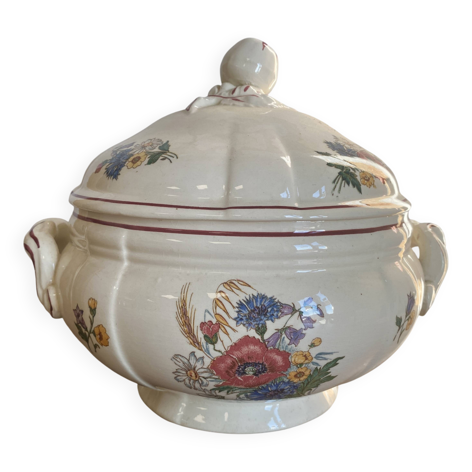 Agreste Sarreguemines soup tureen