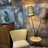 Double foot lamp compass and harness