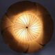 Hana I Chandelier, Uchiwa Series By Ingo Maurer For Design M, Germany, 1970s