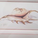 Watercolor signed Romey
