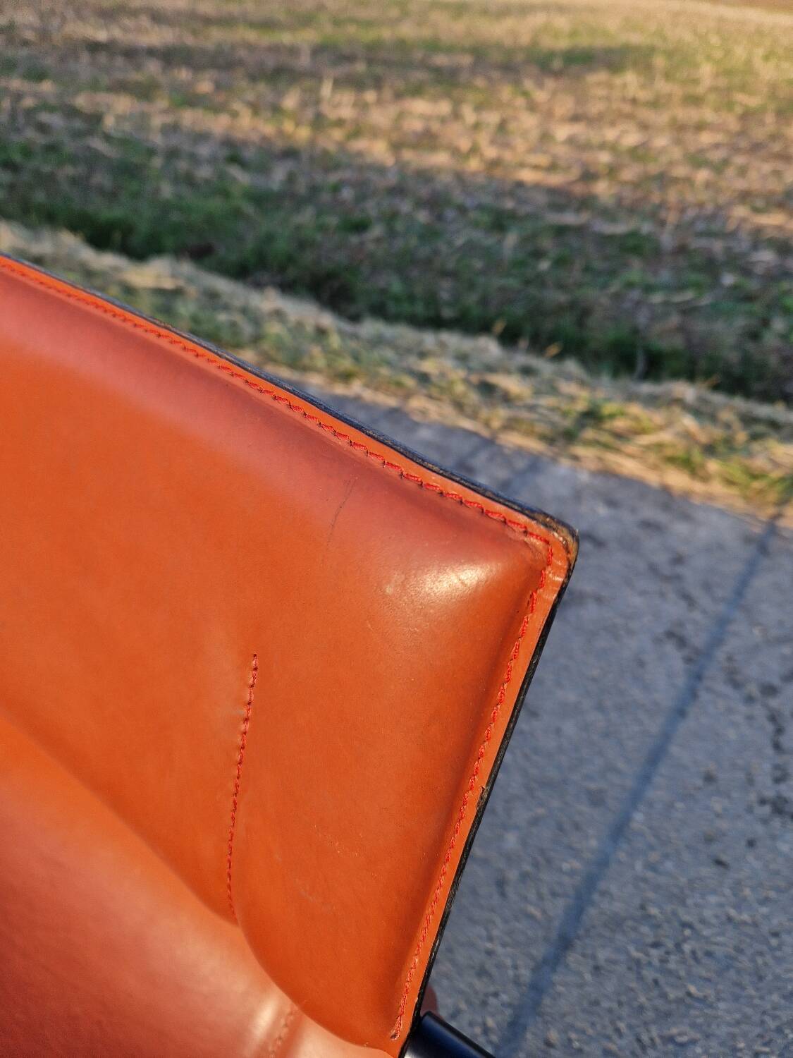 Lot de 2 chaises en cuir Matteo Grassi