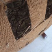 1950s, Danish armchair, furniture wool, hand carved oak wood.