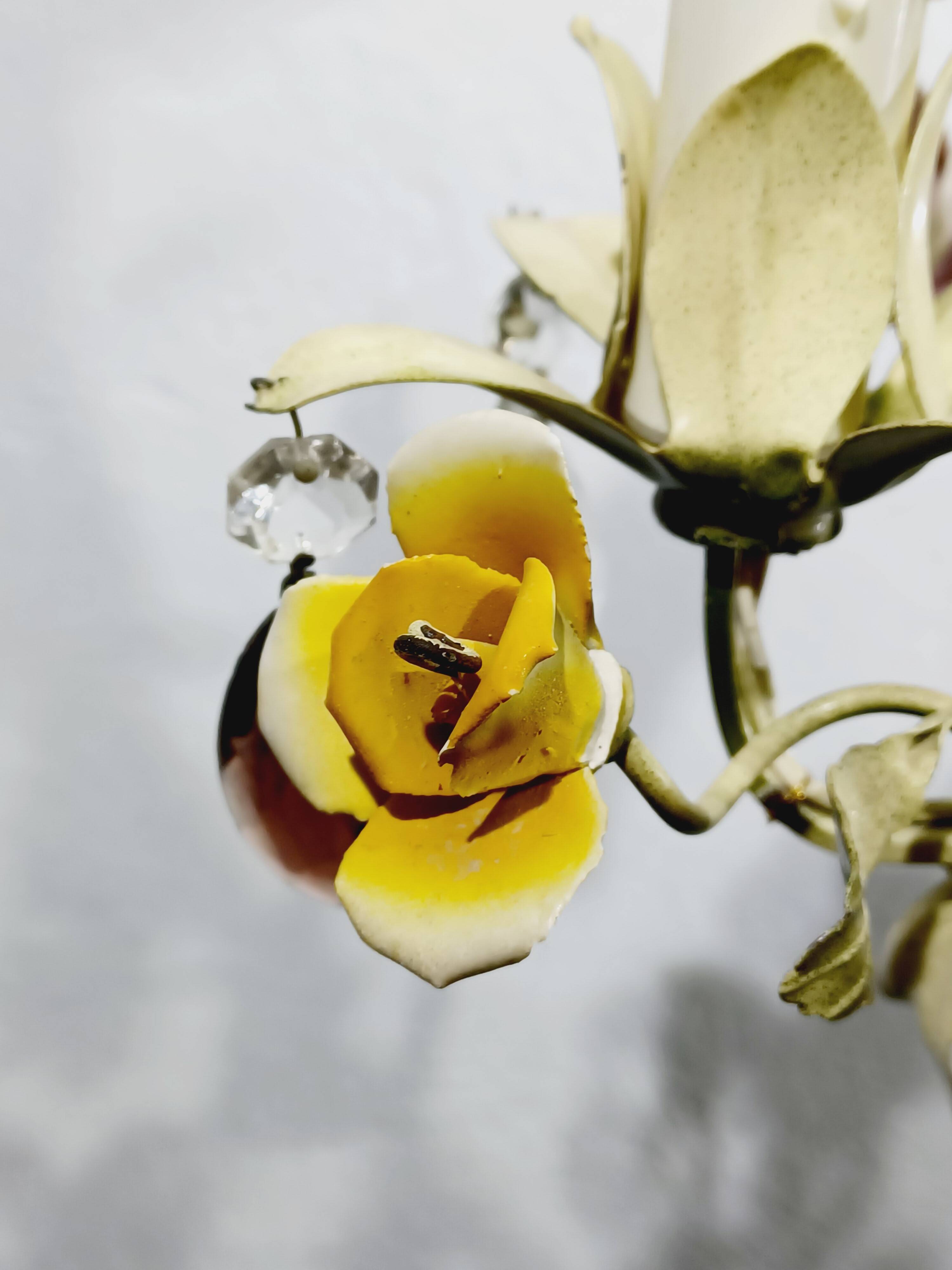 Wrought iron and porcelain chandelier