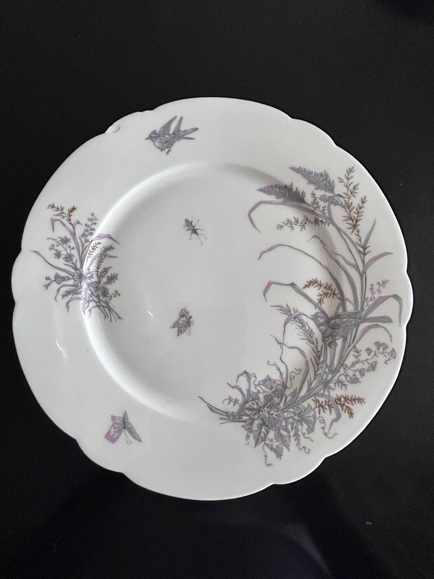 8 porcelain plates and 1 dish CH Pillivuyt & Cie