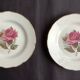 Set of 2 GIEN Chambord dessert plates