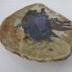 Danish stoneware bowl by Conny Walther, 1960s