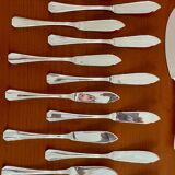 Christofle boréal fish service 26 pieces