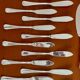 Christofle boréal fish service 26 pieces