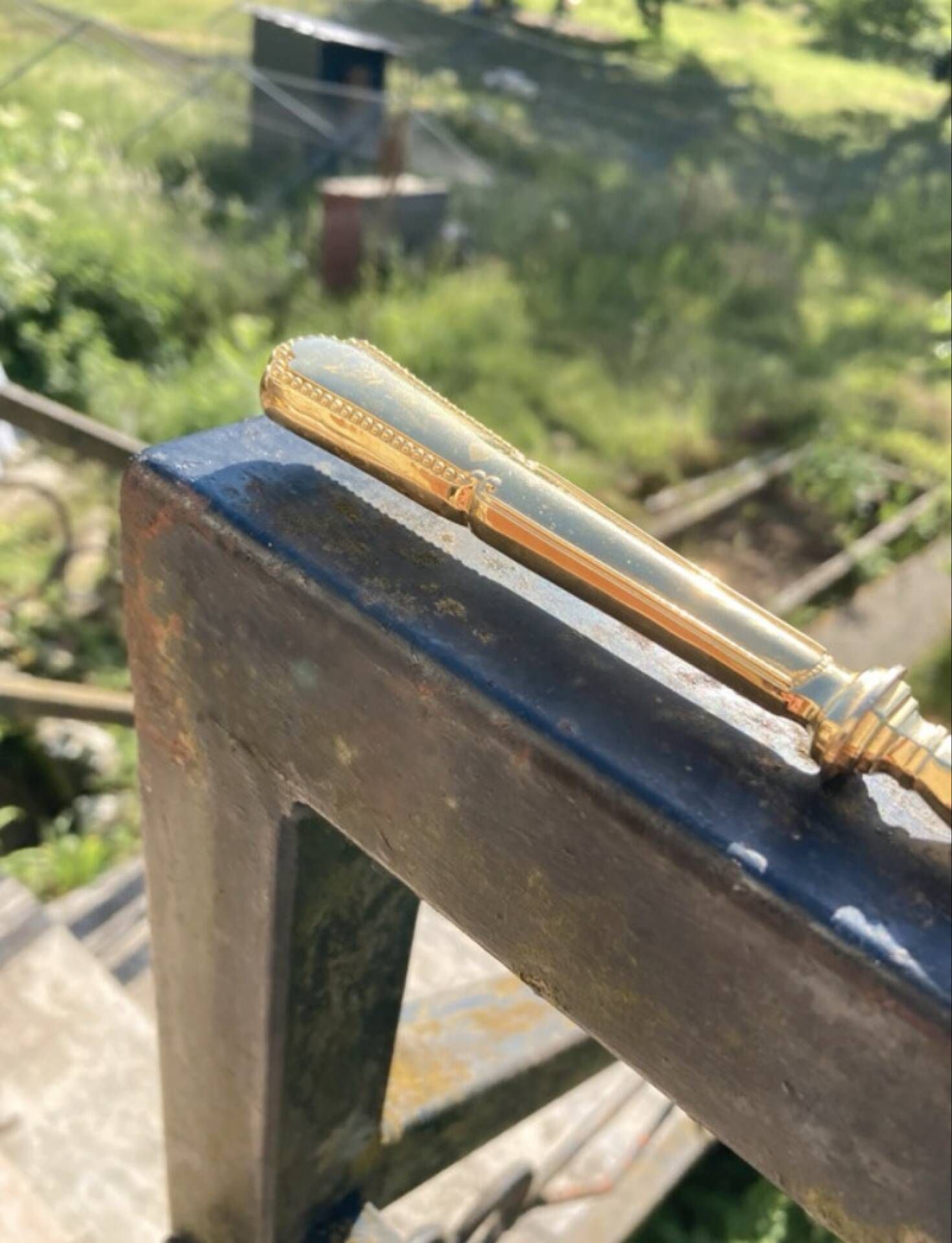 Golden metal pie server