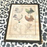 Fashion engraving under glass "Parisian costumes 1694" from 1817 - Hats caps cornettes
