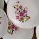 Set of 8 vintage Gien earthenware plates from the 70s with a floral pattern.