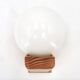 Pine wood wall light with opaque white glass globe, 1980s.
