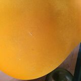 Rabbit chair by Stefano Giovannoni - Large velvet model