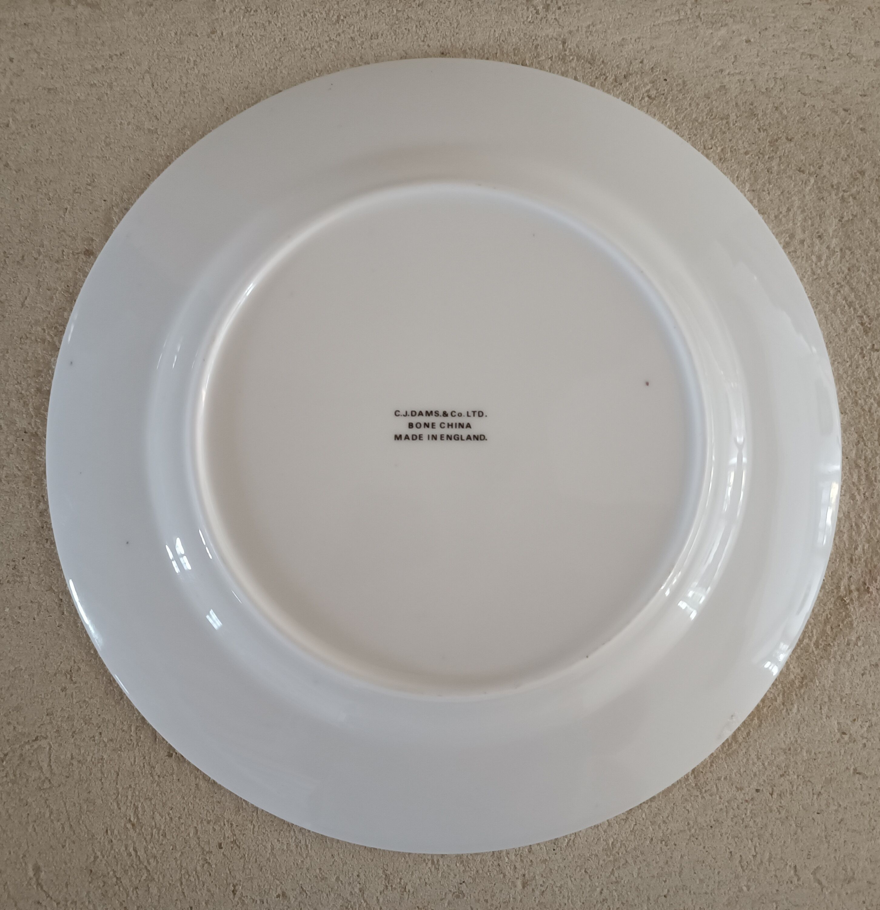 English porcelain plate