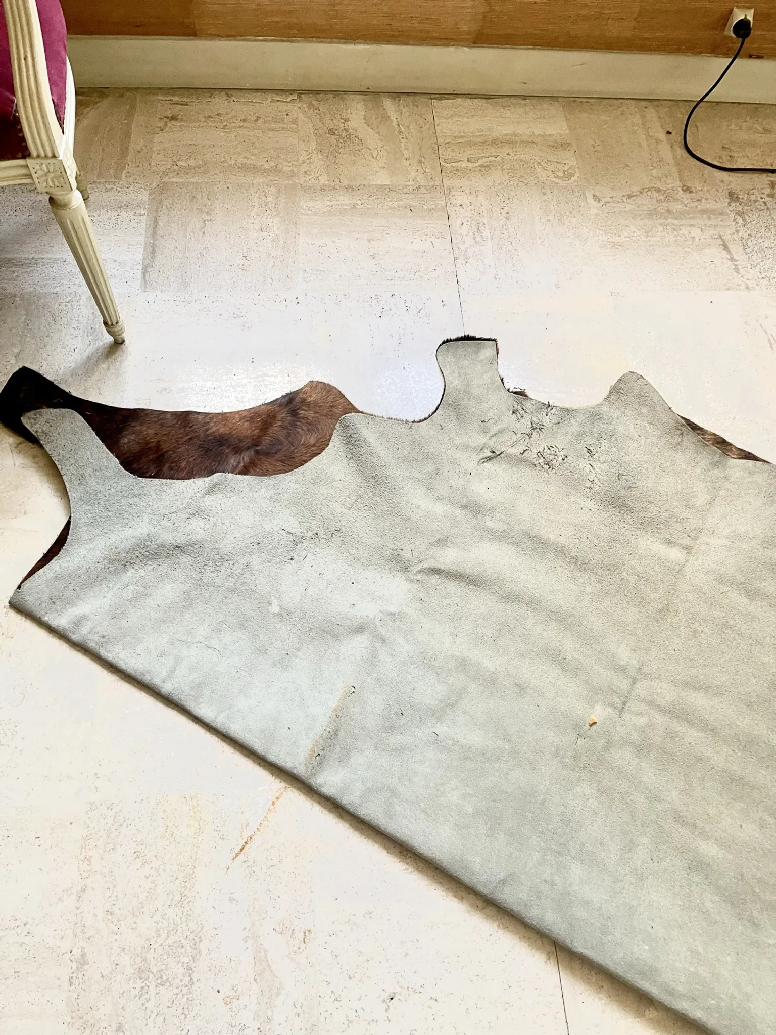 Texas cowhide rug, 1970