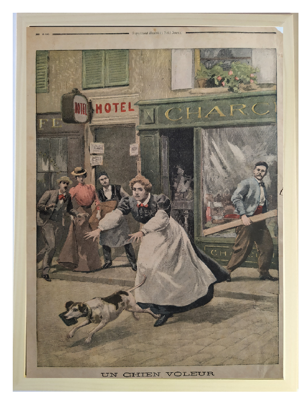 A thief dog 1903