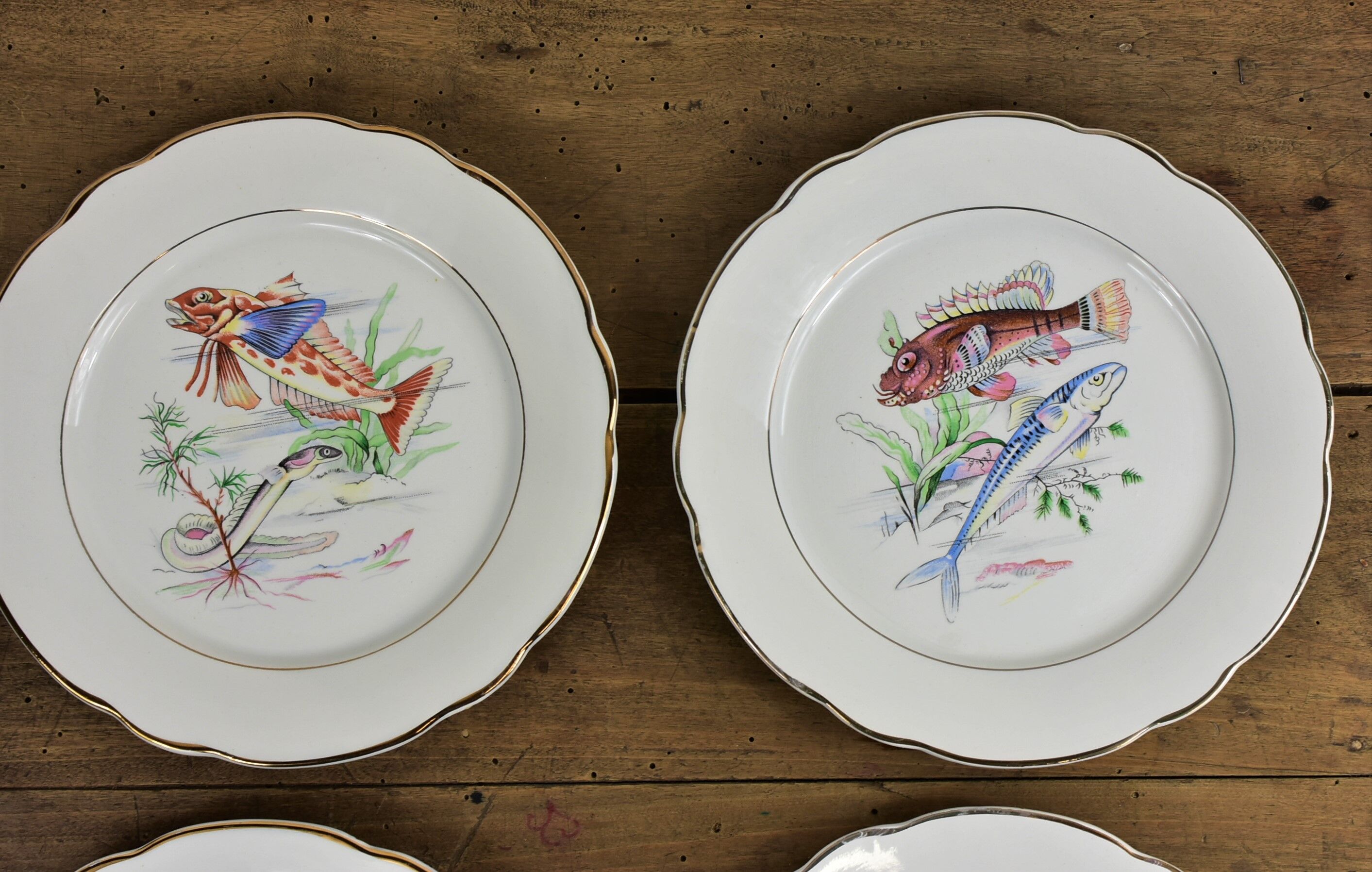 Set of 6 plates sea pattern Digoin Sarreguemines.