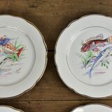 Set of 6 plates sea pattern Digoin Sarreguemines.