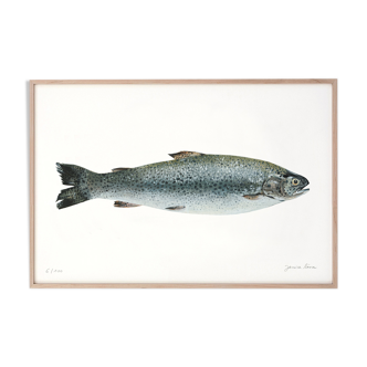 "Mia", trout, art print 20/30cm
