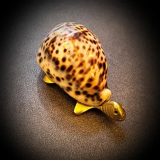Bronze turtle and shell