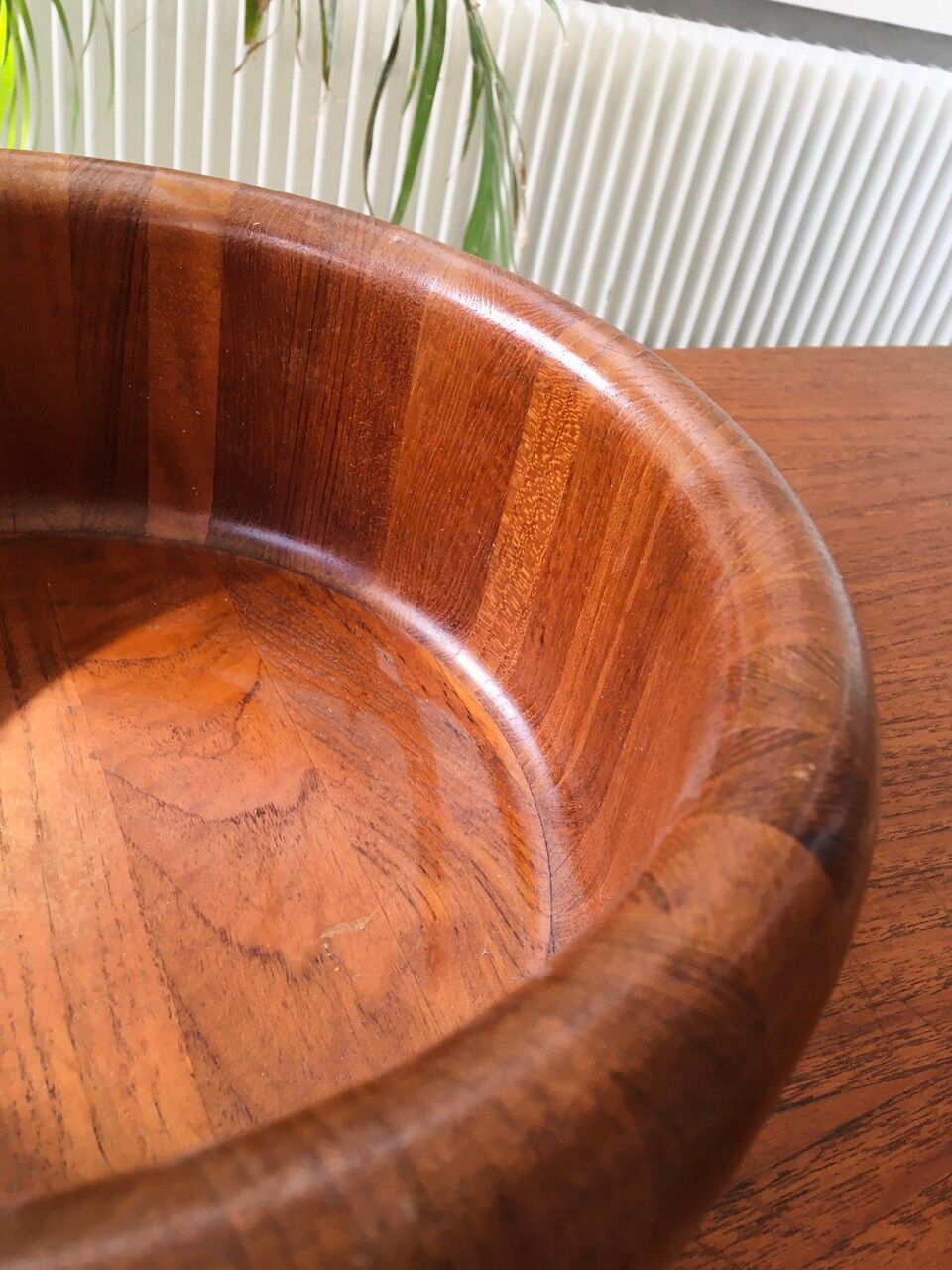 Dish XXL Digsmed Denmark