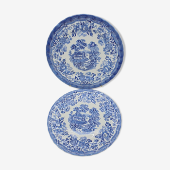 Plate duo