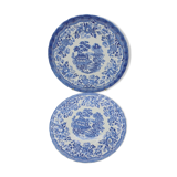 Duo of plates