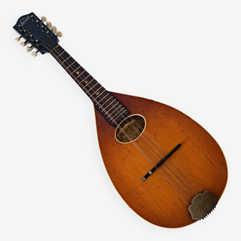 Levin high-end antique mandolin with flat bottom