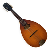 Levin high-end antique mandolin with flat bottom