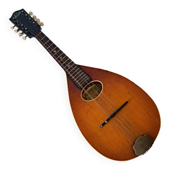 Levin high-end antique mandolin with flat bottom