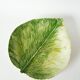 Large slip dish / cup, Leaf model, Signed, 1970