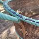 Antique large painted rattan cradle - 1900 - on wheels