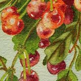 Set of 2 apple and cherry watercolors, framed