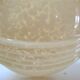 Glass Art Deco glass cap of Clichy ball your vanilla 30s