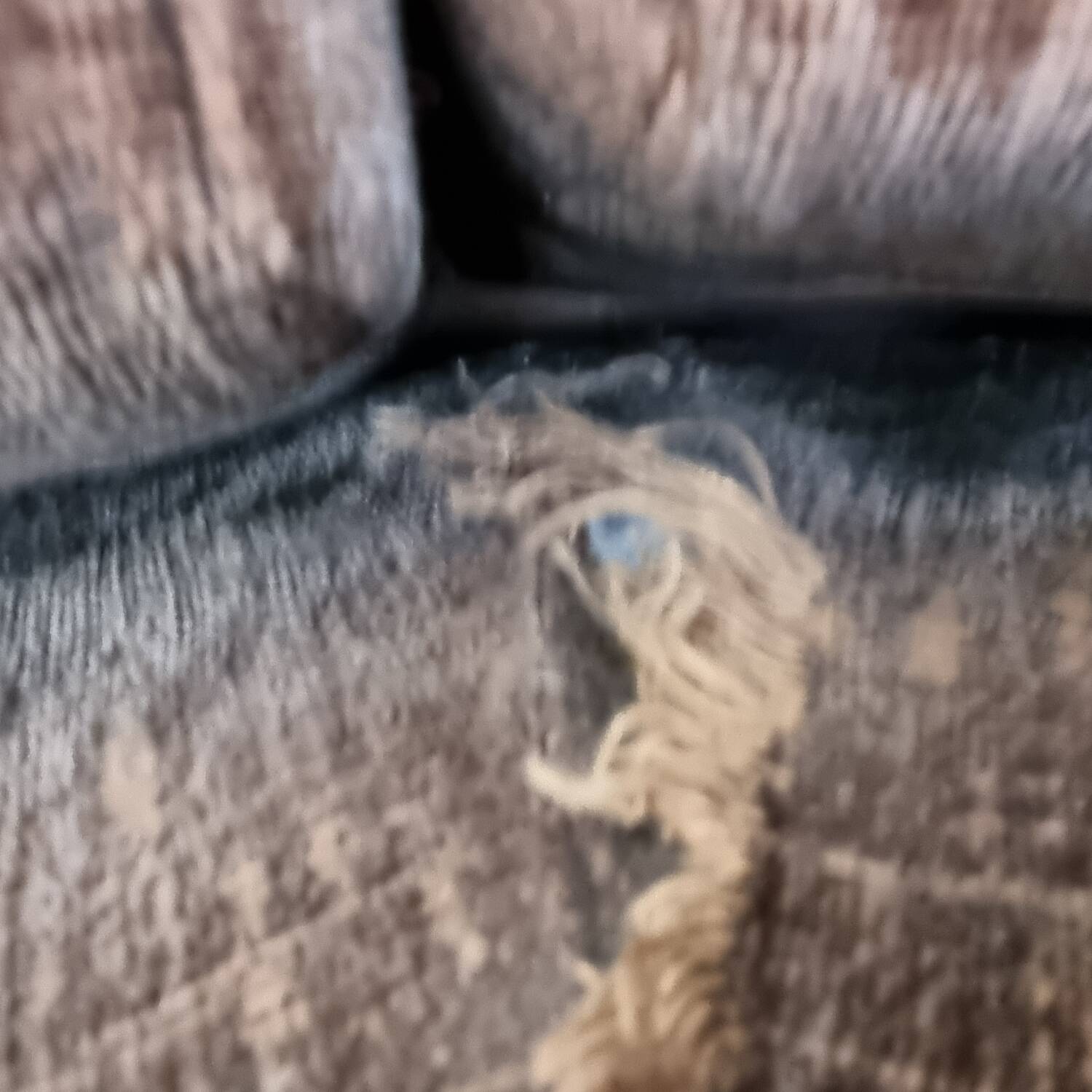 1970s Roche Bobois canapé style