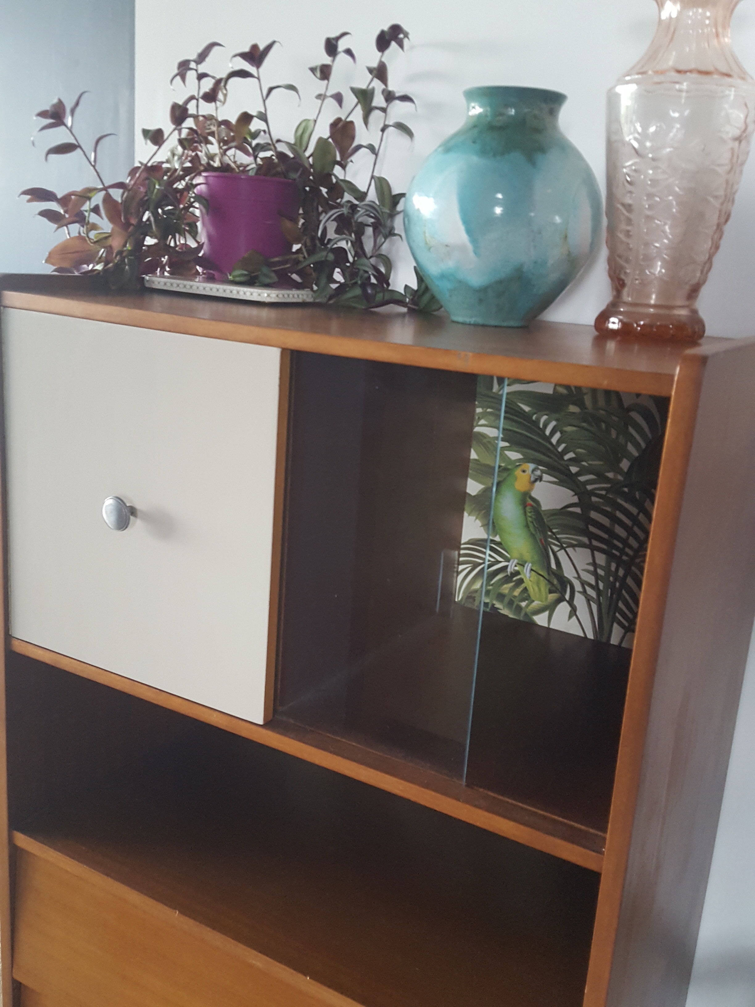 Meuble de rangement années 50 jungle