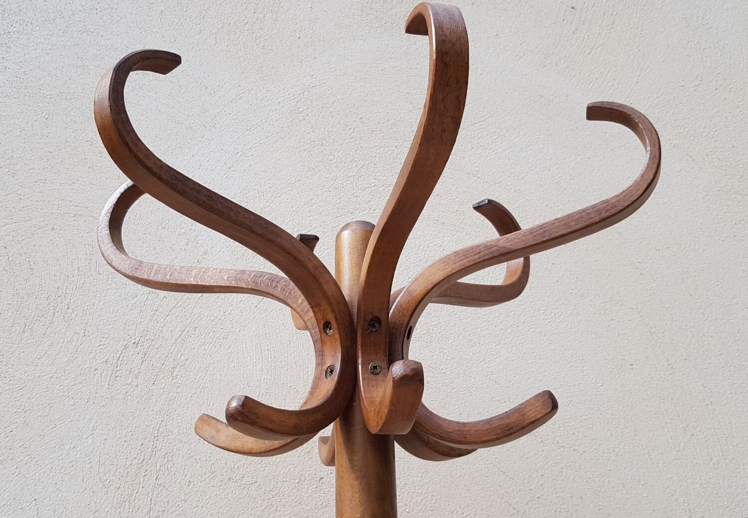 Coat rack roting parrot