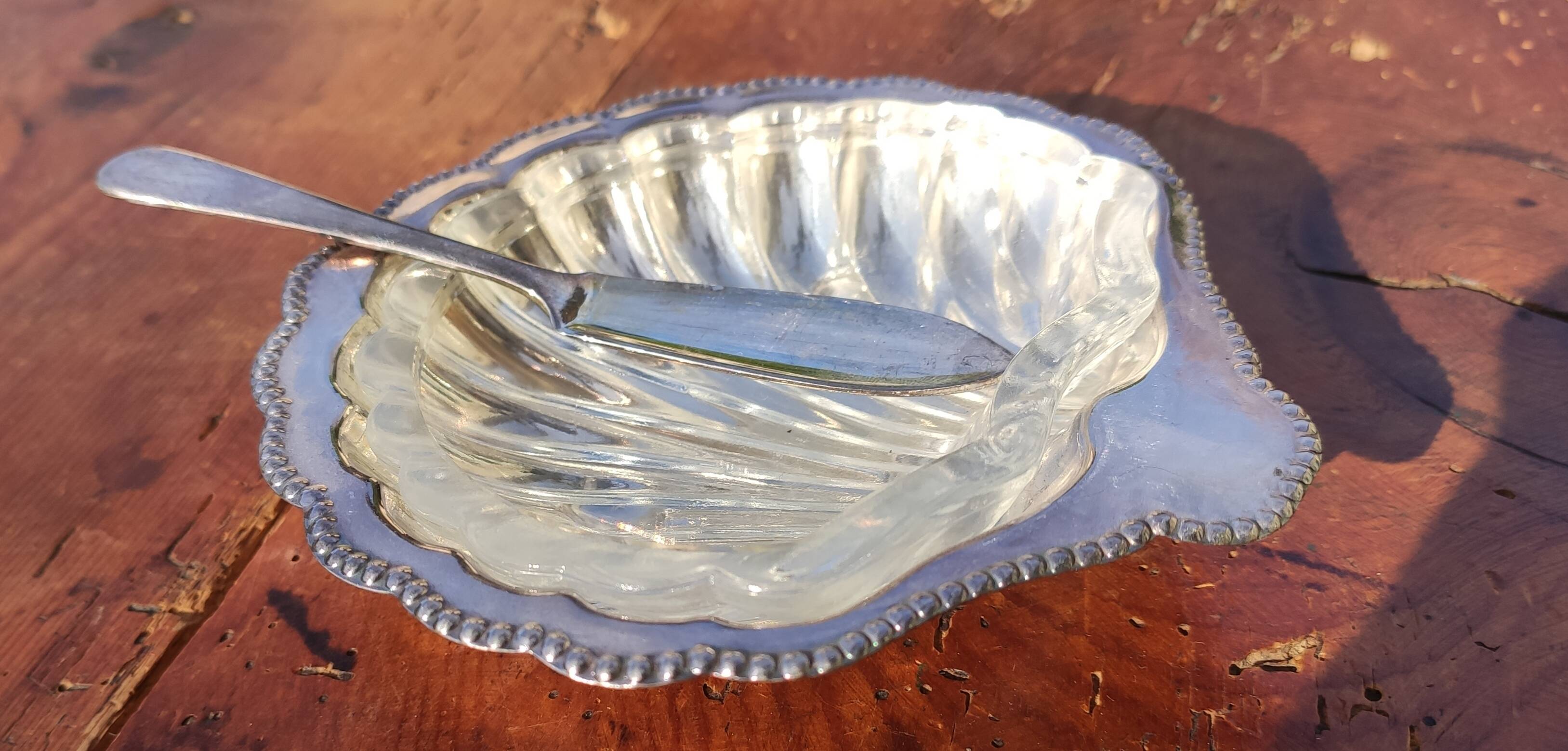 Old shell butter dish