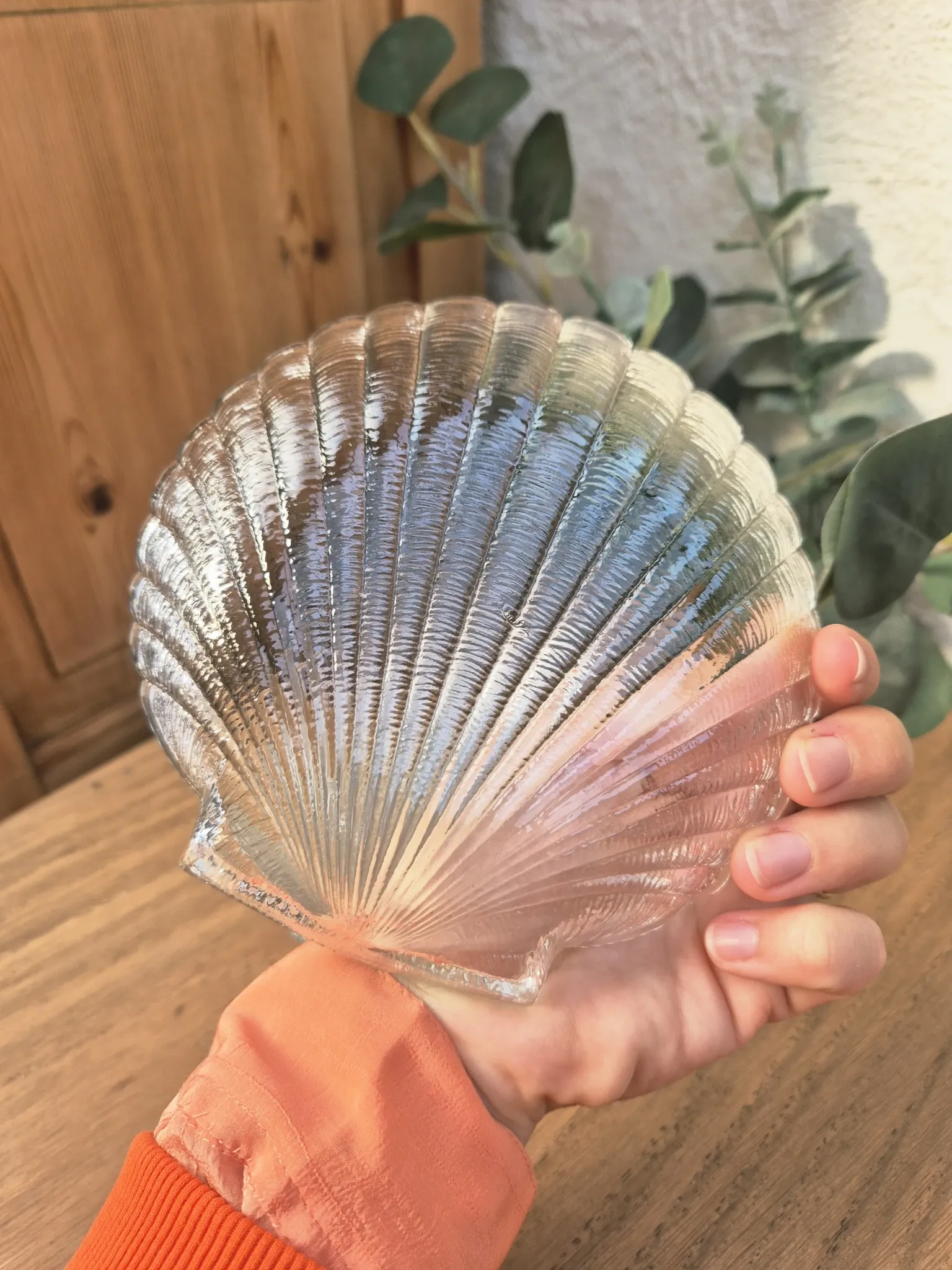 coupelles coquillage vintage