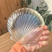 coupelles coquillage vintage