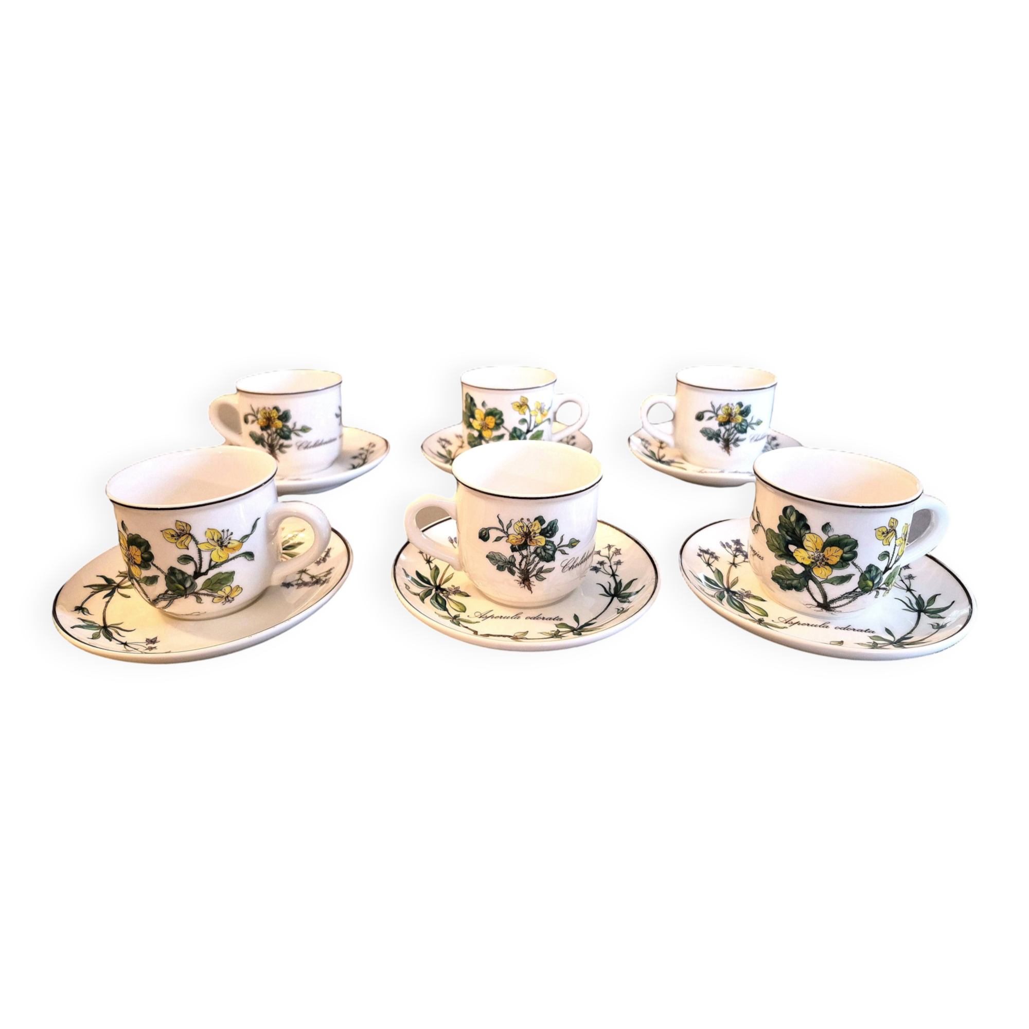 Set of 6 coffee cups and saucers Villeroy & Boch, vintage, Botanica